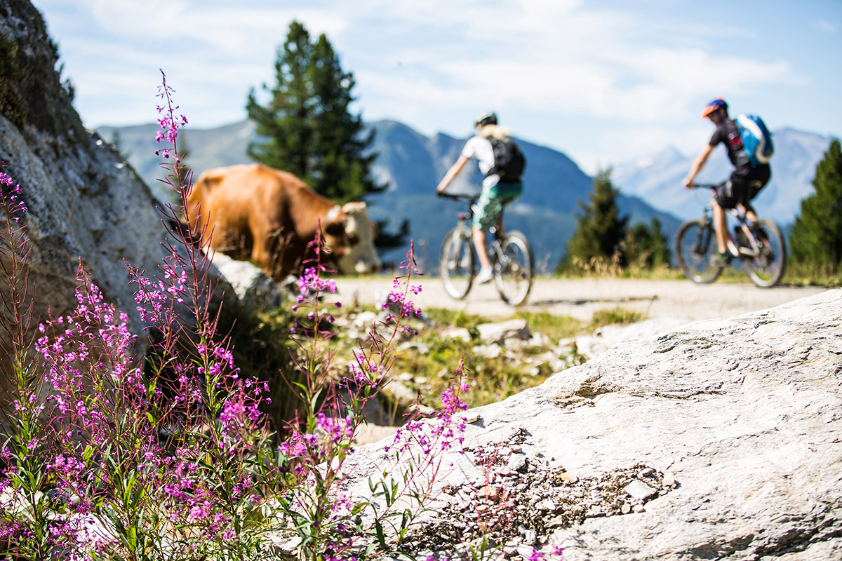 Unser Sommer-Extra